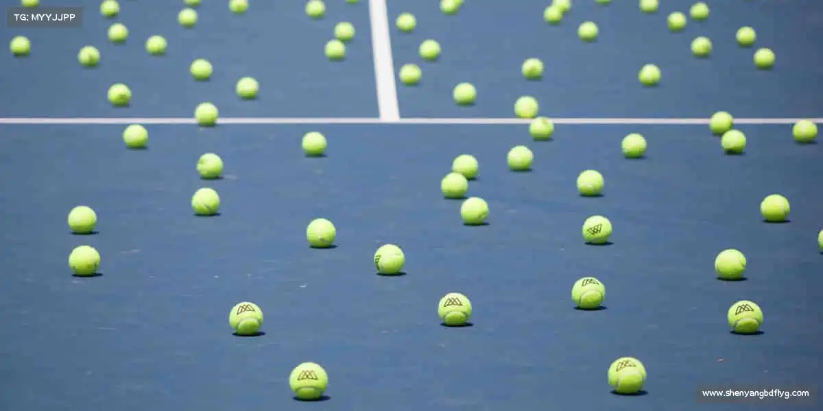 星空电竞🏐团队协作，永不言弃 —— 在体育的世界里，我们都是追光者！